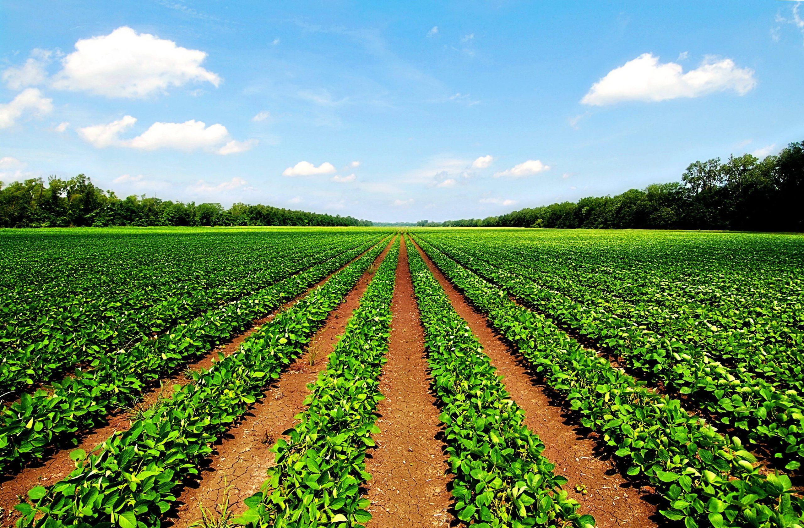 Agricultural