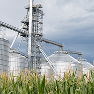 Biofuels