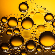 Edible Oils